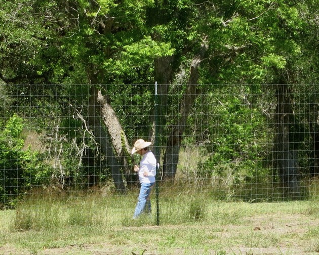 A man is outside the wired fence with trees in the background.