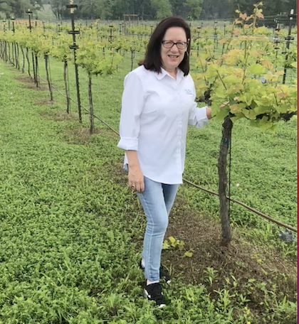 A woman is standing beside grape trees.
