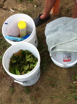 Three white buckets with farming tools, leaves and a towel.
