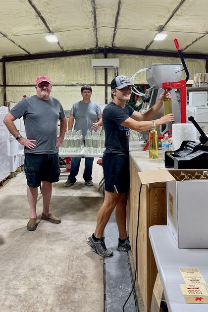 Majek Winery Wine bottling