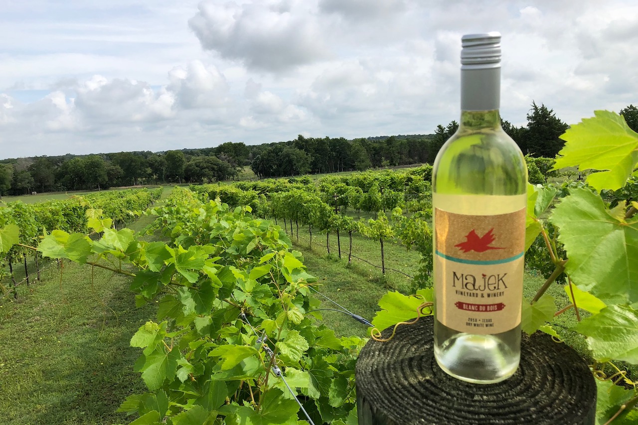 Majek Winery bottle in front of vineyard
